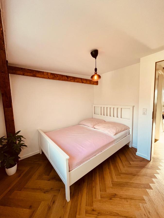 Jugendstil-Altbauwohnung Mit Dachterrasse Direkt An Der Karlsaue Kassel Zewnętrze zdjęcie